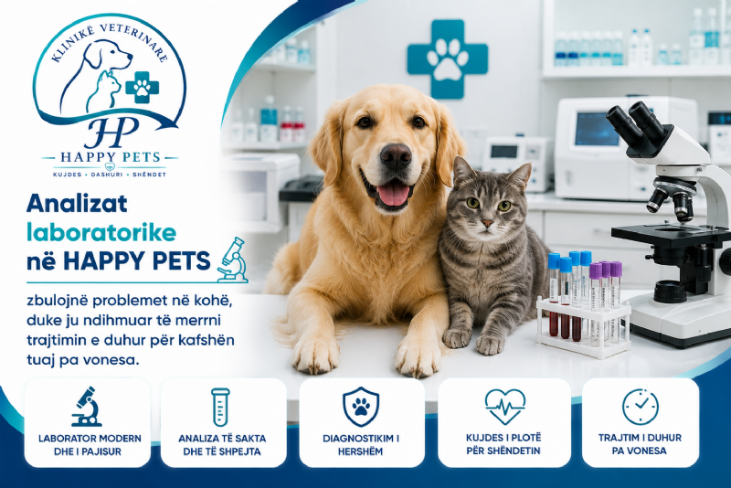 Analizat laboratorike në HAPPY PETS zbulojnë problemet në kohë, duke ju ndihmuar të merrni trajtimin e duhur për kafshën tuaj pa vonesa.
